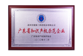 广东省知识产权示范企业